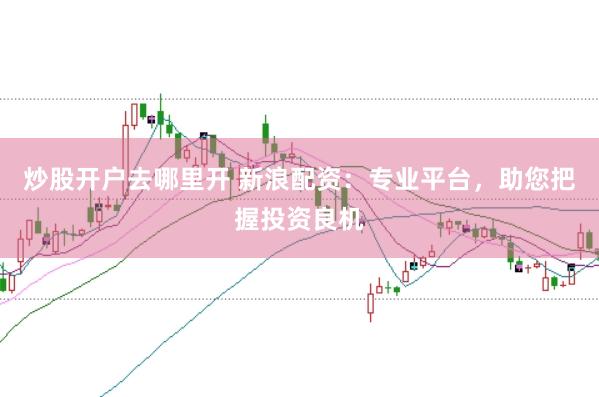 炒股开户去哪里开 新浪配资：专业平台，助您把握投资良机
