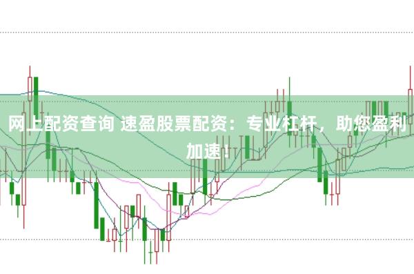 网上配资查询 速盈股票配资：专业杠杆，助您盈利加速！