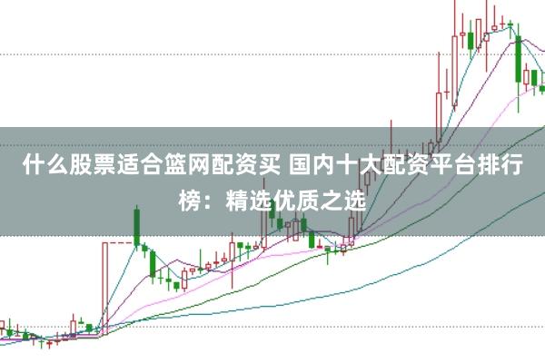 什么股票适合篮网配资买 国内十大配资平台排行榜：精选优质之选