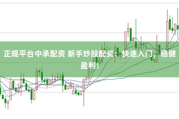 正规平台中承配资 新手炒股配资：快速入门，稳健盈利！