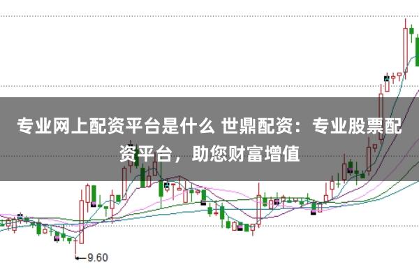 专业网上配资平台是什么 世鼎配资：专业股票配资平台，助您财富增值
