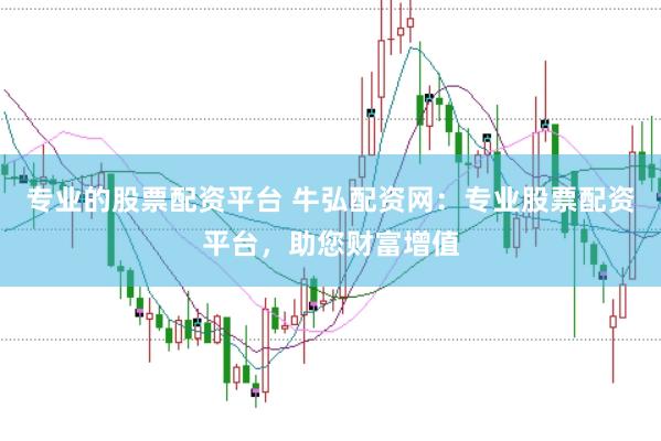 专业的股票配资平台 牛弘配资网：专业股票配资平台，助您财富增值