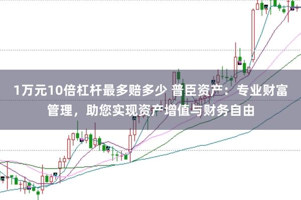 1万元10倍杠杆最多赔多少 普臣资产：专业财富管理，助您实现资产增值与财务自由