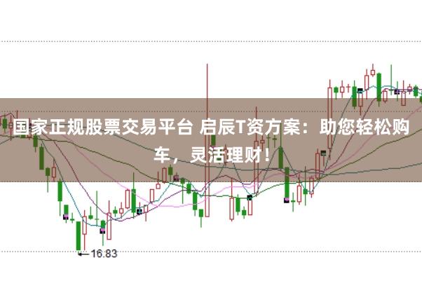 国家正规股票交易平台 启辰T资方案：助您轻松购车，灵活理财！