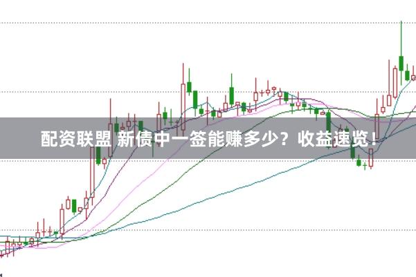 配资联盟 新债中一签能赚多少？收益速览！
