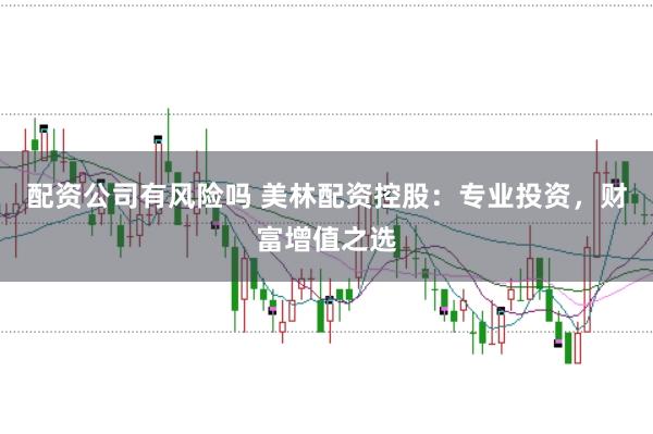 配资公司有风险吗 美林配资控股：专业投资，财富增值之选