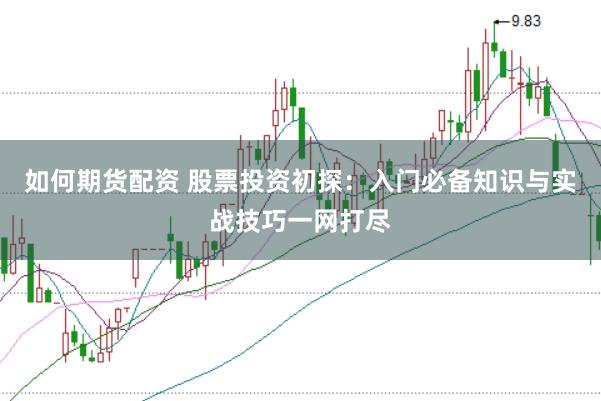 如何期货配资 股票投资初探：入门必备知识与实战技巧一网打尽