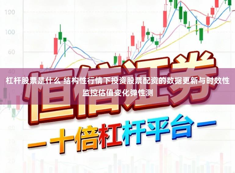 杠杆股票是什么 结构性行情下投资股票配资的数据更新与时效性监控估值变化弹性测