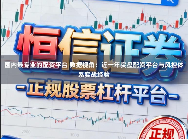 国内最专业的配资平台 数据视角：近一年实盘配资平台与风控体系实战经验